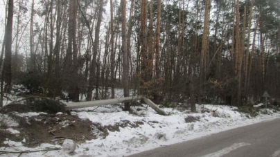 У Черкаському лісгоспі сніголамом пошкоджено півтори тисячі гектарів лісу
