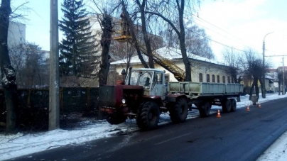 На бульварі Шевченка обрізають крони аварійних дерев