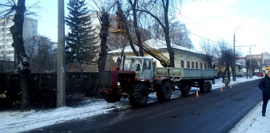 На бульварі Шевченка обрізають крони аварійних дерев