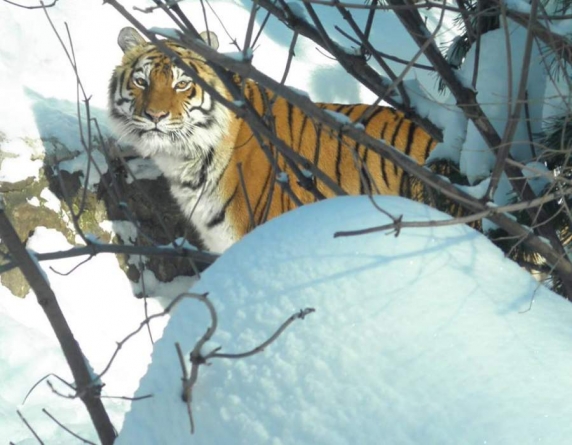 Черкаський зоопарк підтримує акцію щодо Дня дикої природи