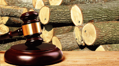 Понад 50 тис кубометрів деревини продали на аукціоні в Черкасах