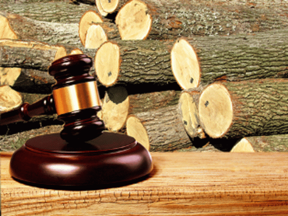 Понад 50 тис кубометрів деревини продали на аукціоні в Черкасах