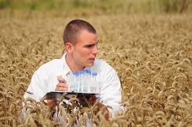 Найвищі зарплати на Черкащині – у агрономів та агрохіміків