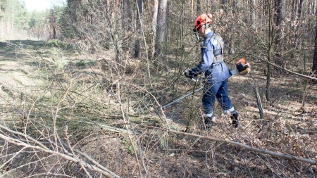 У Черкаських лісах розчищають лінії високовольтних електропередач