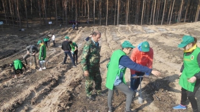 7,5 тисячі майбутніх дерев висіяли юні чигиринці