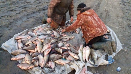 У Сулинській затоці виявили браконьєрів із сітками та рибою