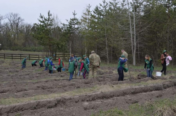 Новорічні ялинки висадили учні шкільного лісництва у Балаклеї