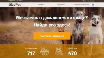 Черкасці можуть врятувати безпритульних тварин за допомогою онлайн-сервісу
