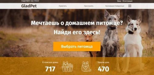 Черкасці можуть врятувати безпритульних тварин за допомогою онлайн-сервісу
