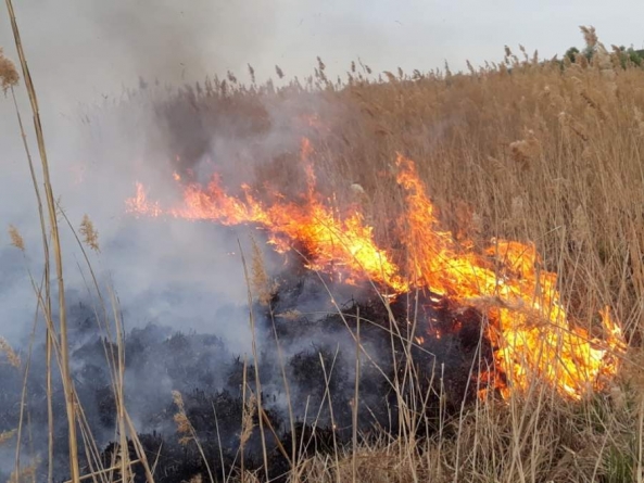 Дві пожежі на відкритій території: палало на Жашківщині та Смілянщині
