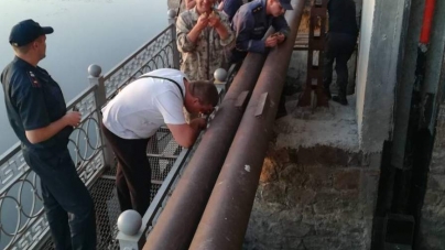 Вісім каченят застрягли в шлюзі: витягали їх уманські рятувальники