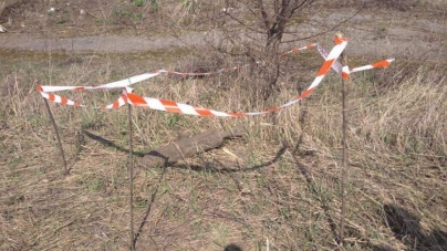 У полі під Черкасами знайдено снаряд часів минулої війни