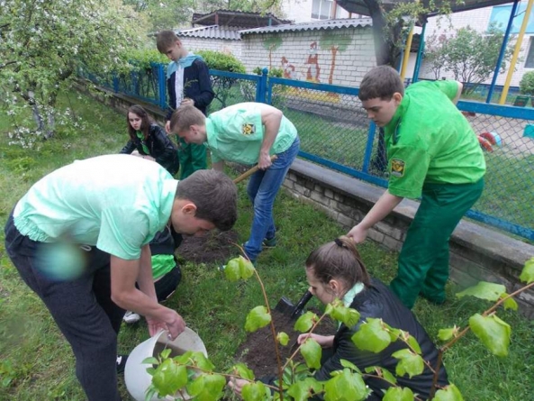 Учні Чигиринщини разом з лісівниками висадили декоративні кущі навколо свого НВК