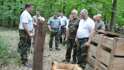 Лісорозсадницьку справу, рекреаційну діяльність та ведення мисливського господарства розглянули на колегії черкаські лісівники
