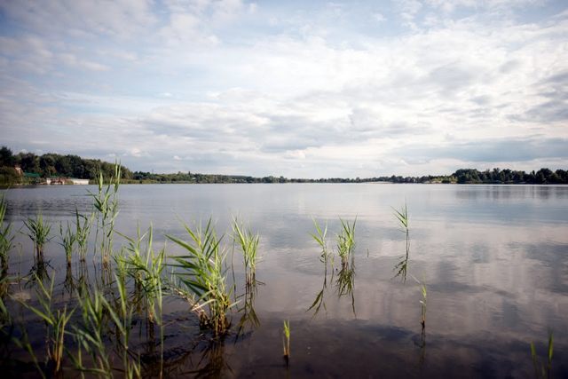На водоймах Черкащини з початку року загинуло 28 осіб (ВІДЕО)