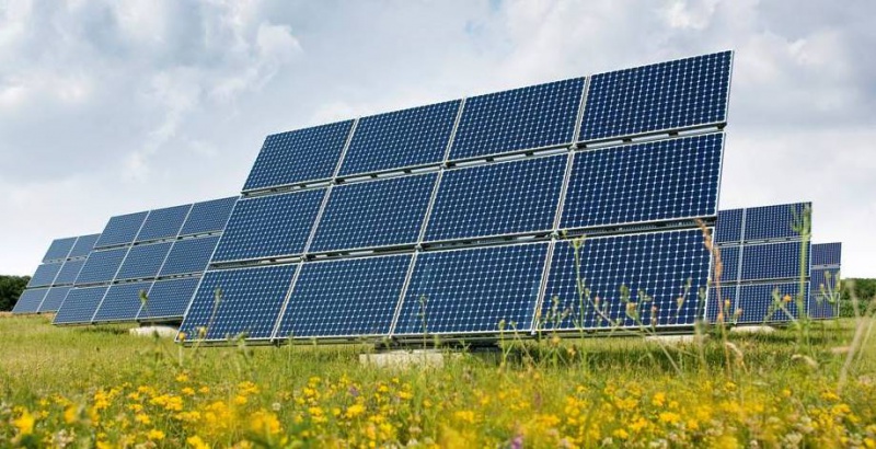 Сонячну електростанцію збудують на смілянських чагарниках
