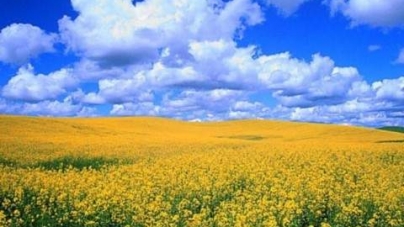 Ранок у Черкасах видався холодним – всього плюс вісім