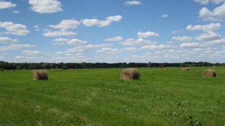 80 гектарів землі повернули в державну власність на Чигиринщині