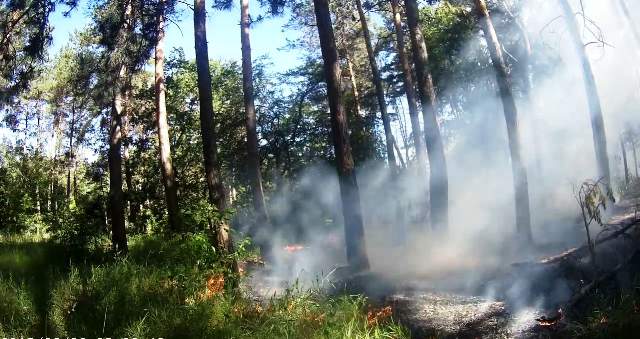 Чотири пожежі за два вихідні сталося на Черкащині