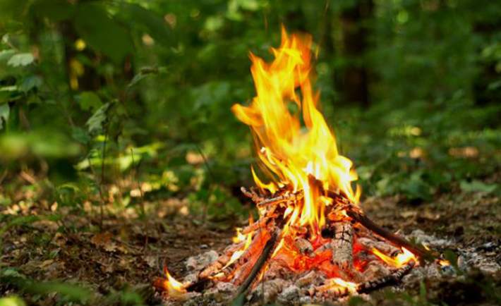 Мотиваційний відеоролик про виникнення лісових пожеж зняли лісівники Черкащини