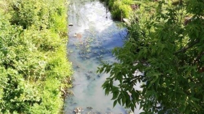 На Черкащині цукровий завод забруднює річку Тальянку