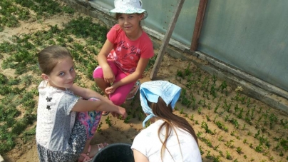 У таборі “Лісовичок” діти відпочили коштом Смілянського лісгоспу