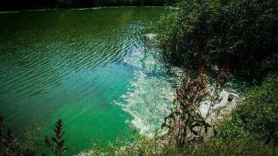 Причини “цвітіння” та загибелі риби у водоймах Черкащини пояснили екологи
