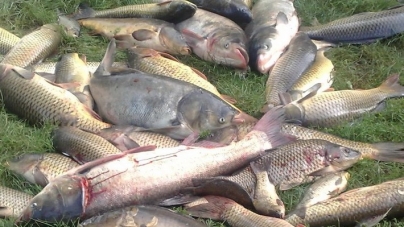 За тиждень рибінспектори Черкащини виявили 53 порушення правил рибальства