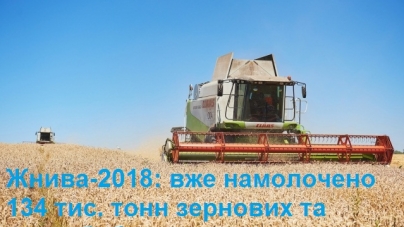 На Черкащині стартували жнива: вже намолочено 134 тис тон зерна