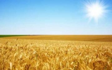 Нарешті справжнє літо – тепле й без дощів
