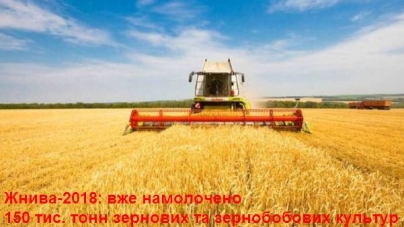 Середня врожайність цього року становить 43 ц/га зернових