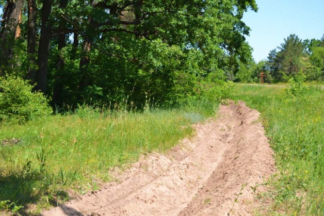 Від пожеж черкаський ліс боронять тисячі кілометрів мінералізованих смуг
