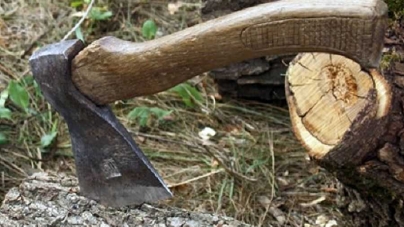Незаконну вирубку дерев виявили на Черкащині