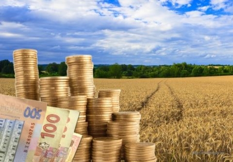 Бюджети Черкащини отримали майже 1,6 млн гривень завдяки земельним аукціонам