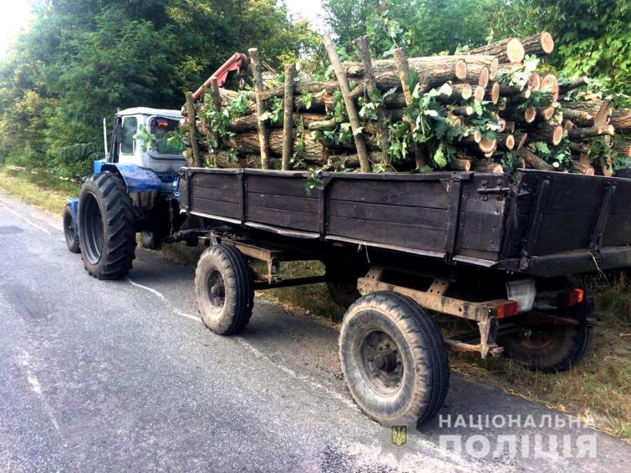 На Черкащині виявили незаконну вирубку деревини