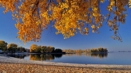 Золота осінь у яскравих світлинах черкаських фотографів (ФОТО)