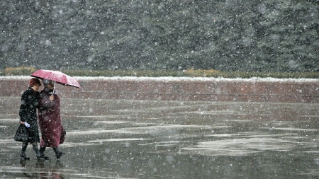 На Черкащині випаде мокрий сніг, попереджають синоптики