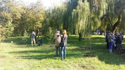 У черкаському парку висадили берези (фото)
