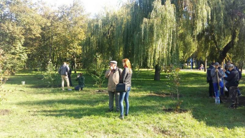 У черкаському парку висадили берези (фото)