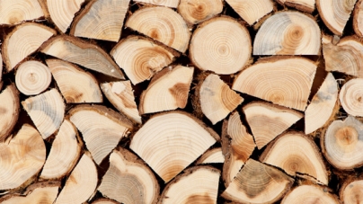 Лісгоспи пропонують до продажу дрова для населення