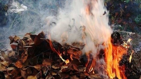 Черкащан попереджають про штрафи за спалювання листя