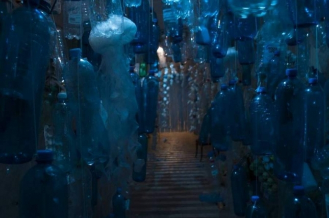 Черкаський музей запрошує «прогулятися» по дну океана (фото)