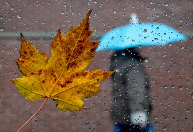Коли настане дощова та прохолодна осінь, розповіли черкаські синоптики