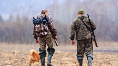 Коли на Черкащині розпочнеться сезон полювання на дичину?