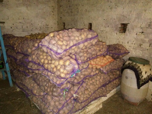 В Умані збирають овочі та фрукти для самотніх пенсіонерів