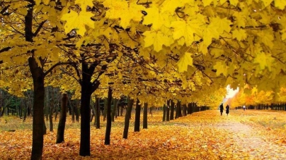 На Черкащину прийшла тепла «золота осінь»
