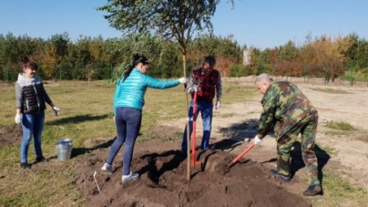 Смілянські лісівники доповнили Мліївський дендропарк новими видами рослин