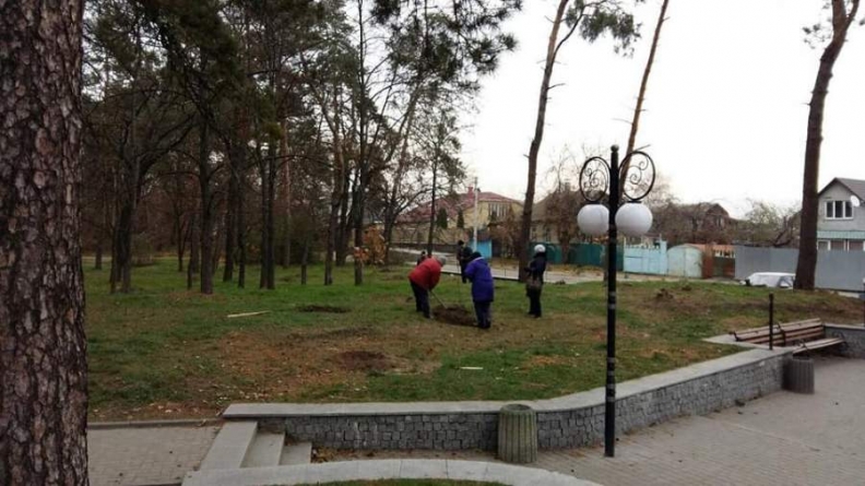 Паркове оновлення: у “Сосновому бору” висадили нові дерева