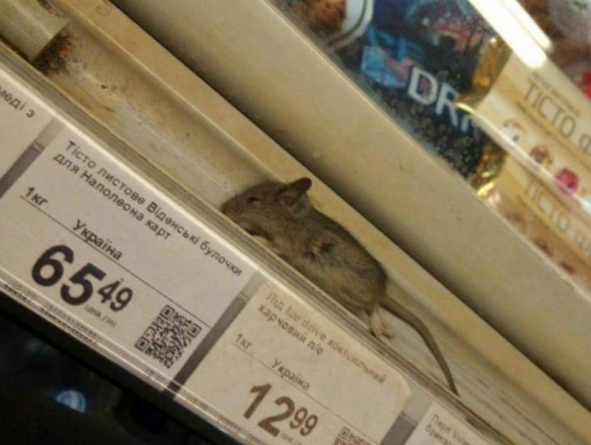 На полиці черкаського супермаркету знайшли неапетитний сюрприз (фото)
