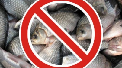 На Черкащині почала діяти заборона на вилов риби у зимувальних ямах
